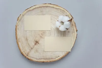 Which Are The Best Wooden Coasters For Different Needs And Styles?