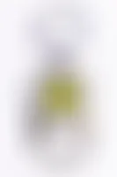 ImprintNow.ca