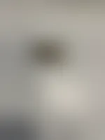ImprintNow.ca