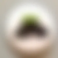ImprintNow.ca