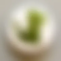 ImprintNow.ca