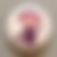 ImprintNow.ca