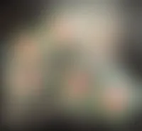ImprintNow.ca