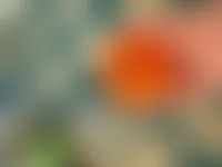 ImprintNow.ca