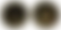 ImprintNow.ca