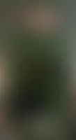 ImprintNow.ca