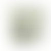 Cannoli Cream - Imprint Now - CA