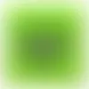 Square - Imprint Now - CA