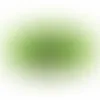 Oval - Imprint Now - CA