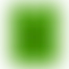 Lime Green - Imprint Now - CA