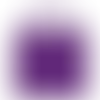 Plum - Imprint Now - CA