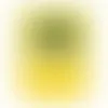 YELLOW - Imprint Now - CA