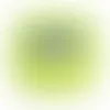 Lime Green - Imprint Now - CA