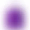 Roland Purple - Imprint Now - CA