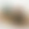 Roll Labels - Imprint Now - CA