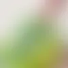 Clear Stickers - Imprint Now - CA