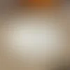 One Colour Foil Stickers - Imprint Now - CA