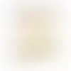 SEG Backlit Counter - Imprint Now - CA