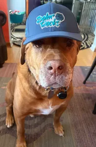 ImprintNow.ca - Full Color TPU