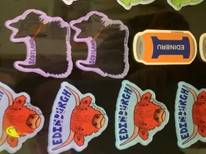 ImprintNow.ca - Custom Shaped Magnets