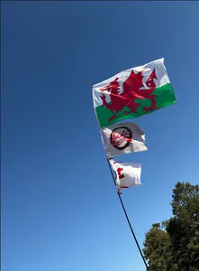 ImprintNow.ca - Rectangle Flag