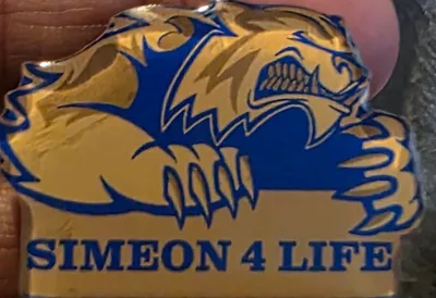 Acrylic Lapel Pin - Purchased pins for high school reunion picnic to give as gifts Very nice quality for the cost Very fast shipping as well