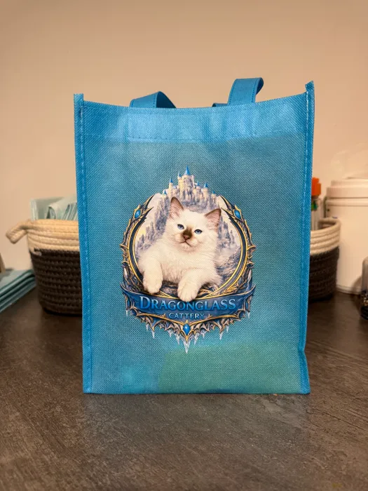 ImprintNow.ca - Custom Small Gift Tote Bag