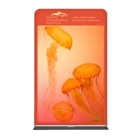 EZ Extend Displays - Imprint Now - CA