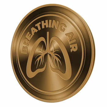 Challenge Coins - Imprint Now - CA