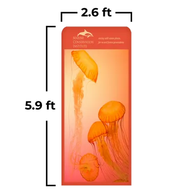 A vertical banner displays jellyfish with text 'Conservation Institute, protecting our ocean planet, one person at a time | conservation@ocean.org'.
