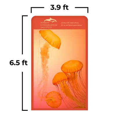 119 x 198 cm - Imprint Now - CA