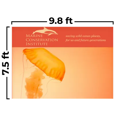 299 x 229 cm - Imprint Now - CA