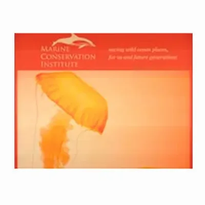 None - Imprint Now - CA