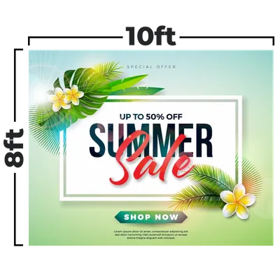 305 x 244 cm - Imprint Now - CA