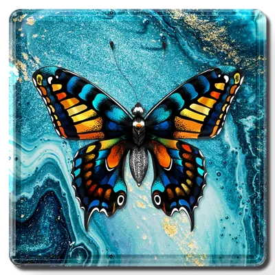 Square - Imprint Now - CA