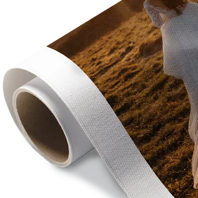 Rolled Canvas Rolled Canvas - Imprint Now - CA