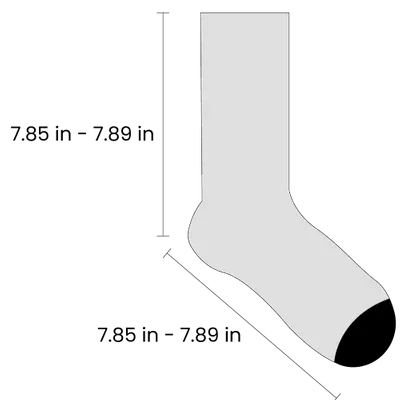 Women_360 Digital Printing + Pure Cotton Crew - Imprint Now - CA