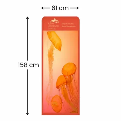 61 x 158 cm - Imprint Now - CA