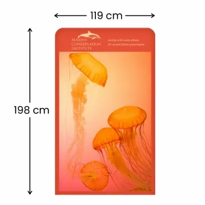 119 x 198 cm - Imprint Now - CA