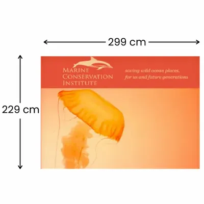 299 x 229 cm - Imprint Now - CA