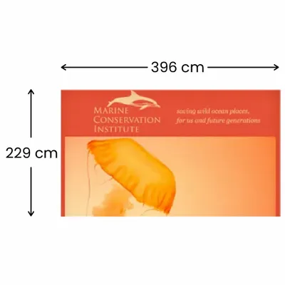 396 x 229 cm - Imprint Now - CA