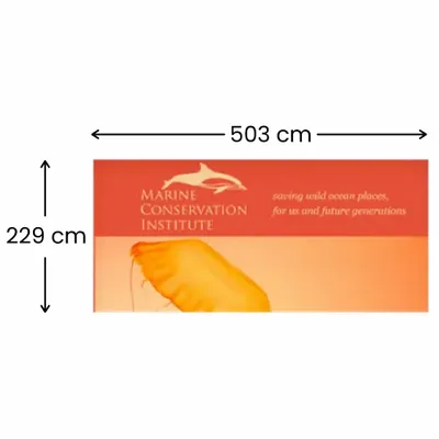 503 x 229 cm - Imprint Now - CA