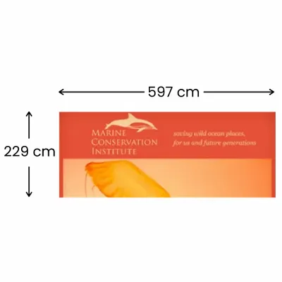 597 x 229 cm - Imprint Now - CA