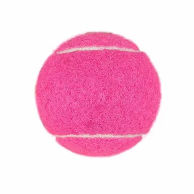 Fuchsia - Imprint Now - CA