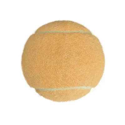 Rice Orange - Imprint Now - CA