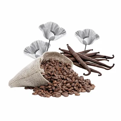 Black Opium - Imprint Now - CA