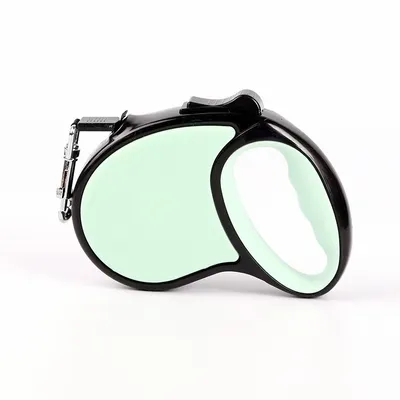 Mint Green - Imprint Now - CA