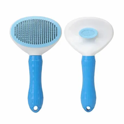 Blue - Imprint Now - CA