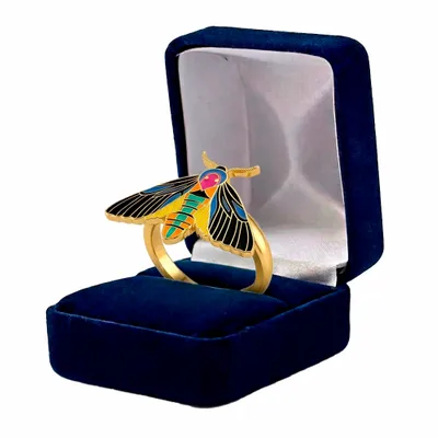 Blue Velvet Box - Imprint Now - CA