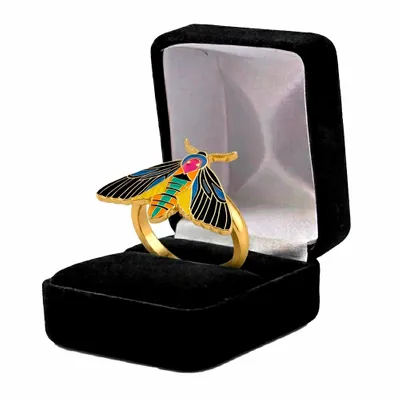 Black Velvet Box - Imprint Now - CA